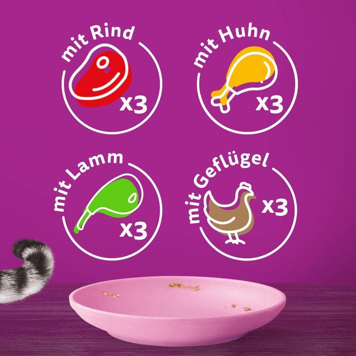 Hrană umedă pentru pisici Whiskas Junior Classic Choice în sos, 48 de pliculețe, 12X85G (pachet de 4) - Hrană umedă pentru pisici de înaltă calitate, pentru pisici în creștere de la 2 la 12 luni