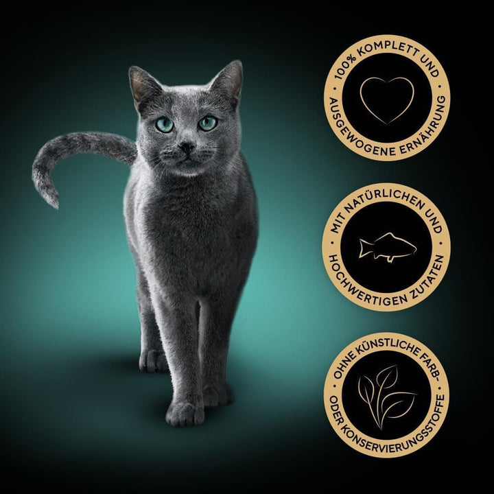 SHEBA săculeți hrană umedă pentru pisici delicatesă în jeleu cu ton Msc certified 28 X 85G