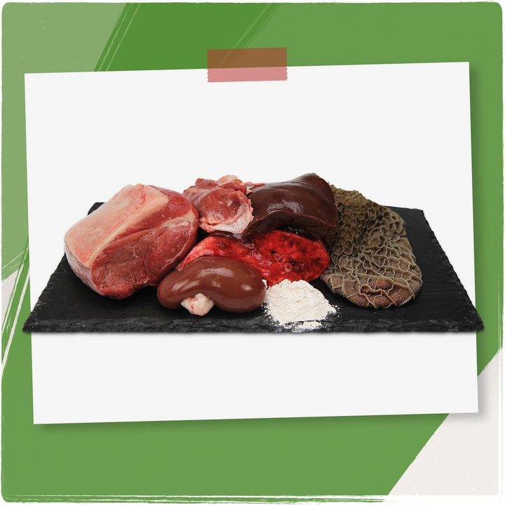 Venandi Animal - Hrană premium pentru pisici - Oaie ca hrană umedă monoproteică, fără cereale și naturală, pachet de 6 (6 X 200G)