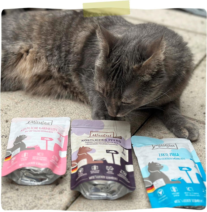 Mjamjam - Hrană umedă premium pentru pisici - Cutie delicioasă, 12 pachete (12 X 200 G), fără cereale cu extra carne
