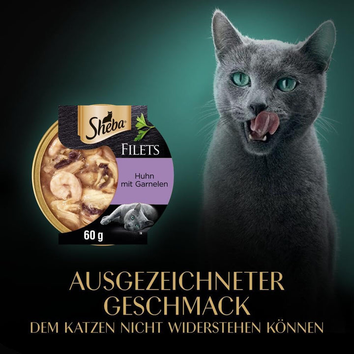 Sheba Filets - Cea mai fină hrană umedă pentru pisici în bol - Pui cu creveți - 16 X 60G