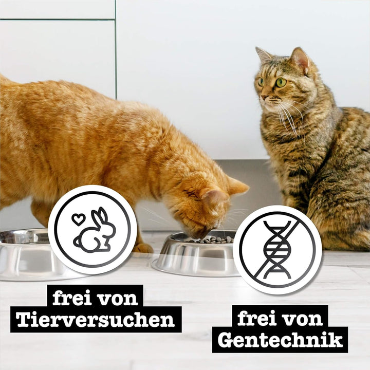 Catz Finefood Purrrr N° 103 Hrană umedă pentru pisici cu pui - Hrană umedă gourmet pentru pisica dvs. fără zahăr și cereale, fără gluten și monoproteică cu conținut ridicat de carne (24 X 85G Bag)