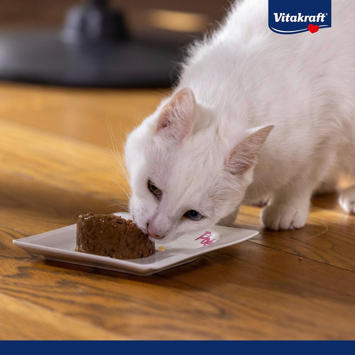 Vitakraft Poésie Mousse, hrană umedă pisică, mousse aerisit, cu somon, fără zahăr și cereale adăugate (12X 85G)