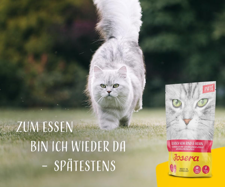 JOSERA Paté Goulash Beef & Chicken (16 X 85 G) | Adult | Hrană umedă premium pentru pisici adulte | Goulash Beef & Chicken | Fără cereale | Hrană umedă pentru pisici într-o pungă proaspătă | 16-pachet