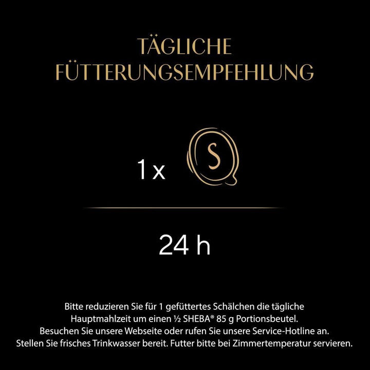 Sheba Filets - Cea mai fină hrană umedă pentru pisici în bol - Pui cu creveți - 16 X 60G