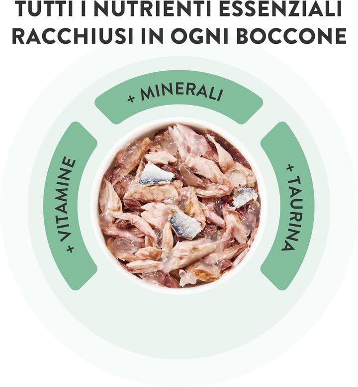 , Ton cu jeleu de șuncă, Hrană umedă completă pentru pisici, Cu adaos de vitamine, 100% naturală, 6 cutii a 85 G