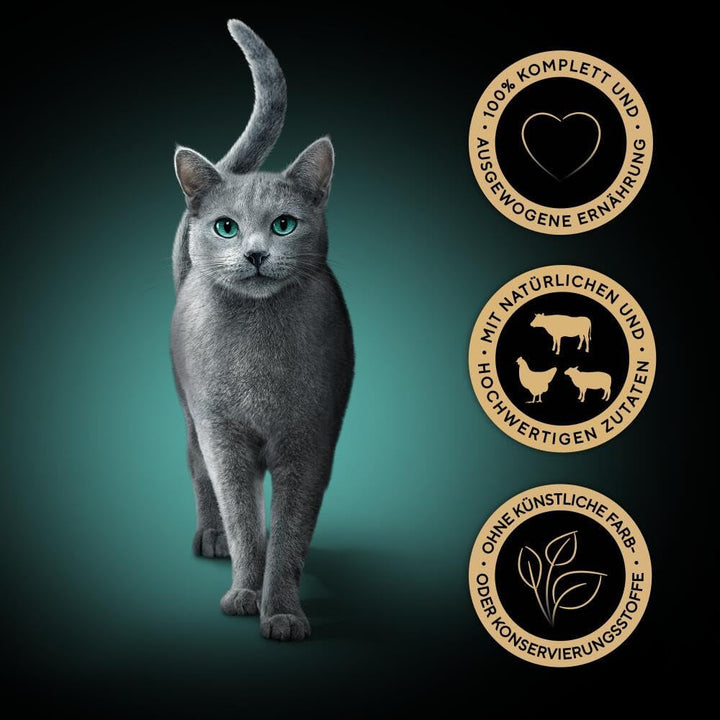 Sheba Portion Bag Wet Cat Food Multipack Fresh & Fine in Sauce with Beef and Chicken, 6X6X50G - Hrană premium pentru pisici în sos, ideală pentru pisica dumneavoastră