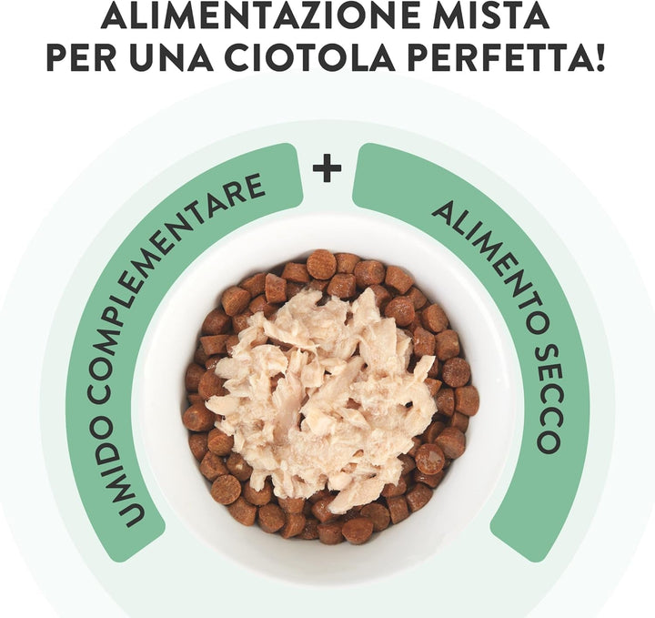 , File de pui cu spigola în jeleu, Hrană umedă complementară pentru pisici, Rețetă originală, 100% naturală, 12 pungi a câte 70 g