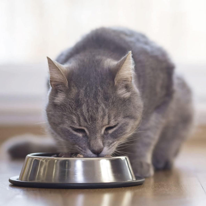 Beaphar dietă pentru rinichi +duck, 100g