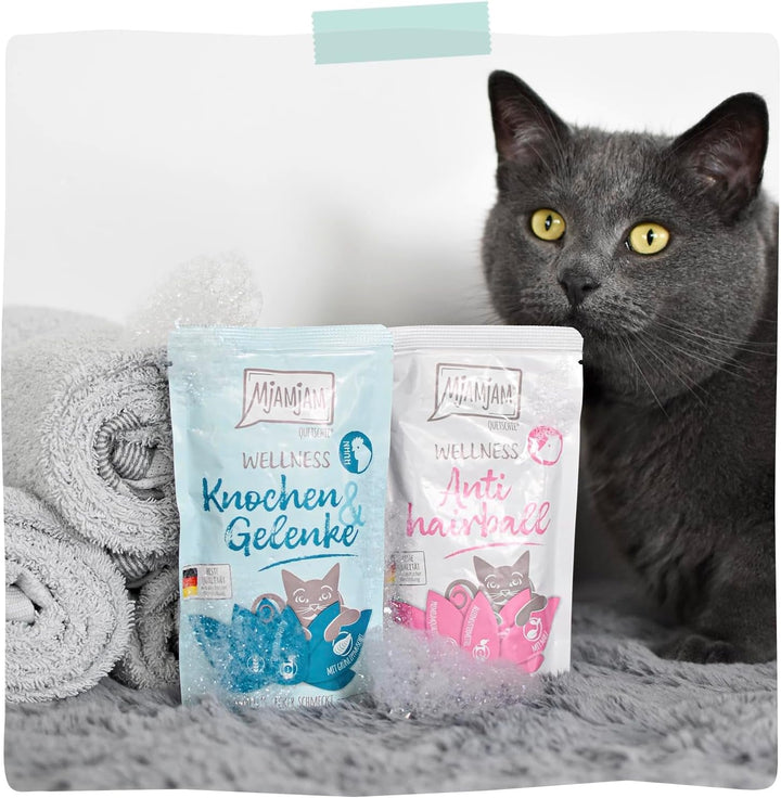 Mjamjam - Hrană umedă premium pentru pisici - Wellness - Digestion - Beef, pachet de 12 (12 X 125G), fără cereale