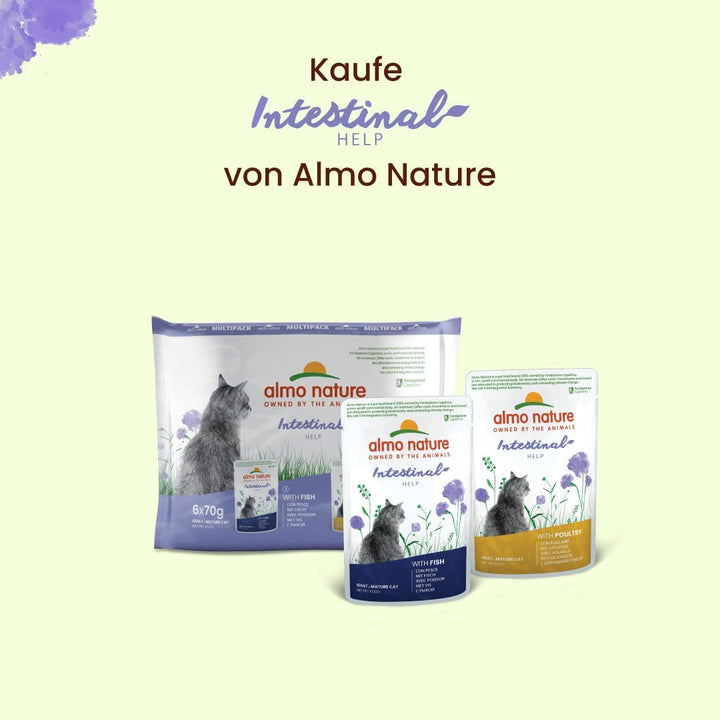 Almo Nature Holistic Intestinal Help - Hrană umedă pentru pisici adulte - Cu pește - 70G, pachet de 30