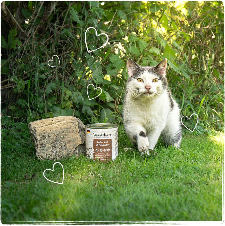 Venandi Animal - Hrană umedă premium pentru pisici - Vițel ca monoproteină 6-pack (6 X 800 G), fără cereale, monoproteină