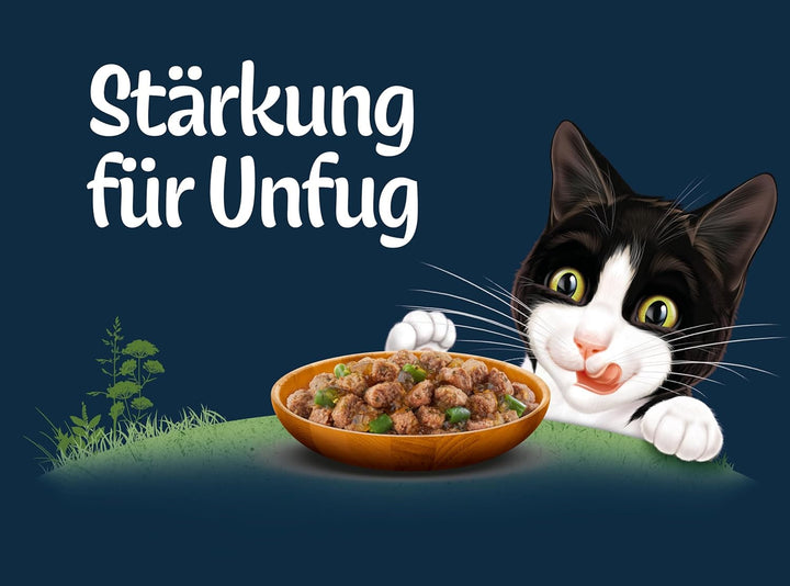 Felix Naturally Delicious, hrană umedă pentru pisici cu aromă de varietate din țară cu legume în jeleu, pachet de 80 (2X40X80G)