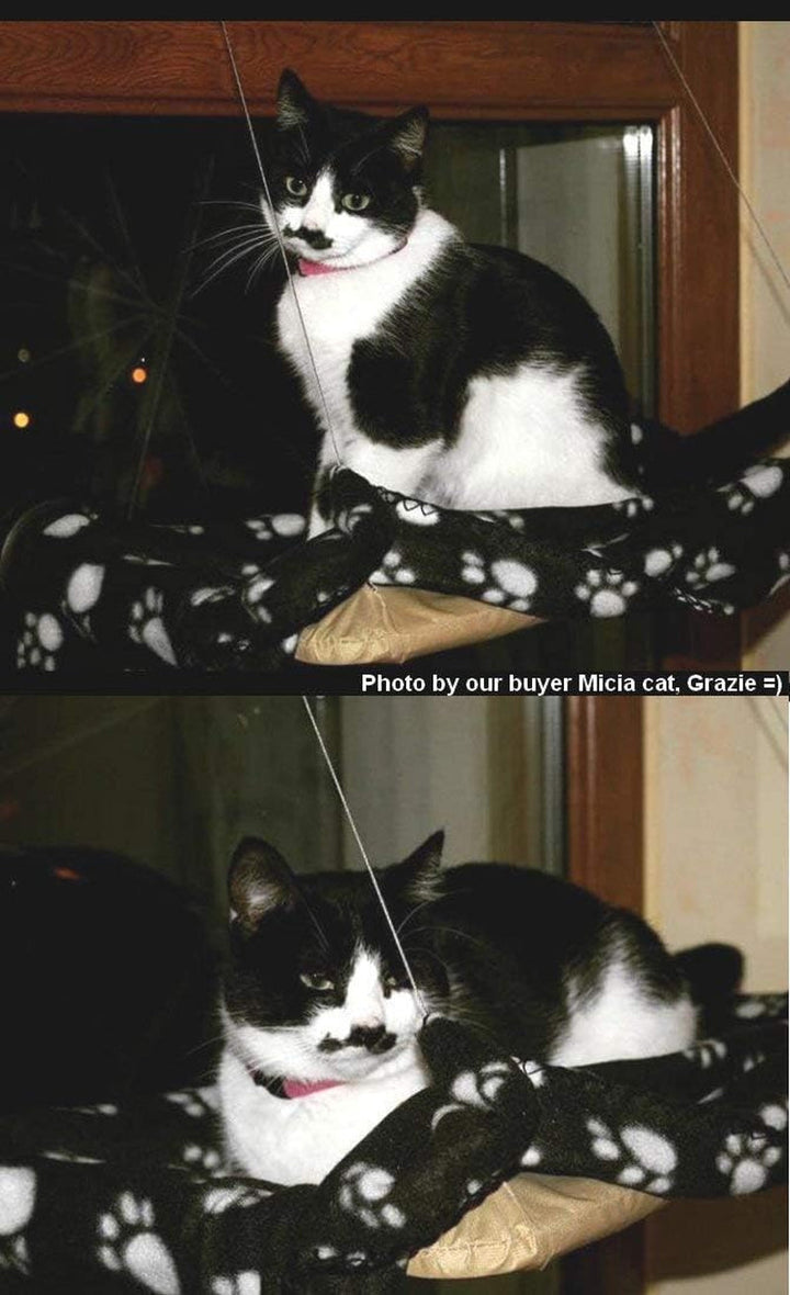 Scaun pentru fereastră pentru pisici, șezlong pentru pisici, hamac + pătură pentru pisici, pat pentru pisici la soare, pat pentru animale de companie pentru pisici, câini mici, iepuri sau alte animale mici