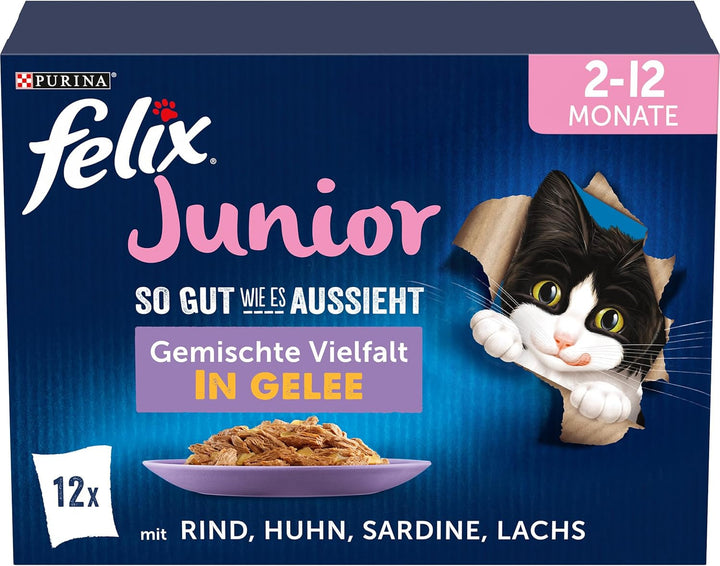 FELIX so Good How It Looks Junior Kitten Food umedă în jeleu, cu pui, 26Pack (26 X 85G)
