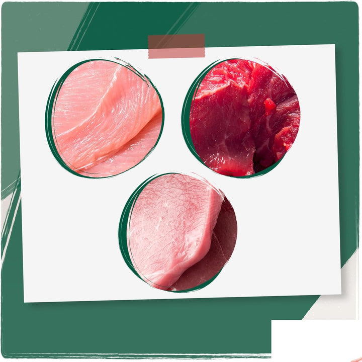 Venandi Animal Premium Hrană umedă pentru pisici, Tasting Pack II, pui + iepure, vițel, curcan, 6 X 200 G, fără cereale și naturală, 1.2 Kg