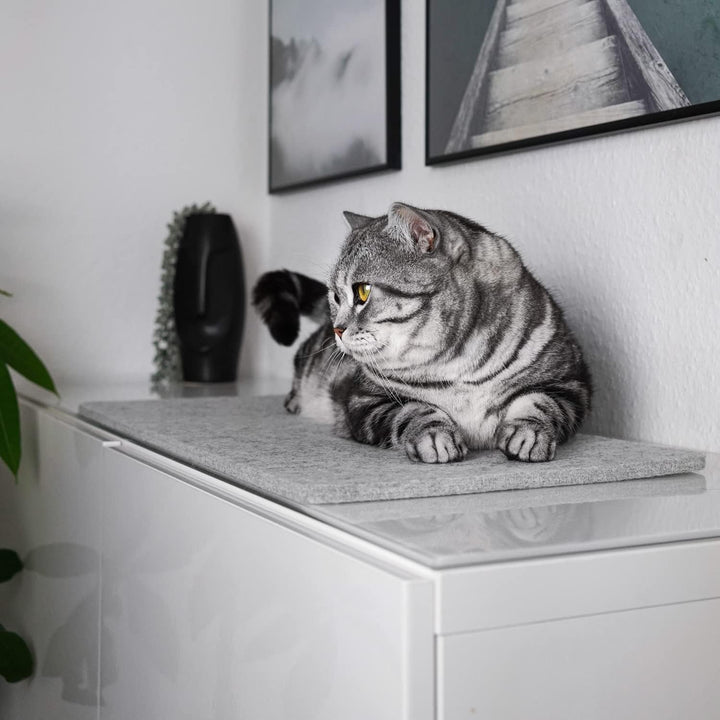 Covoraș pentru pervaz de fereastră Lucybalu® din lână fetru pentru pisici | Covoraș pentru pervaz de fereastră pentru pisici | Pernă pentru pisici | Șezlong pentru pisici | Pat pentru pisici pentru pervazuri | Șezlong ca pat pentru pisici | Gri deschis