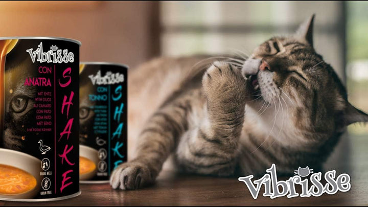 Croci Vibrisse Shake - Hrană umedă pentru pisici cu rață, hrană complementară hidratantă pentru pisici, 12X 135Gr, 1620 Ml