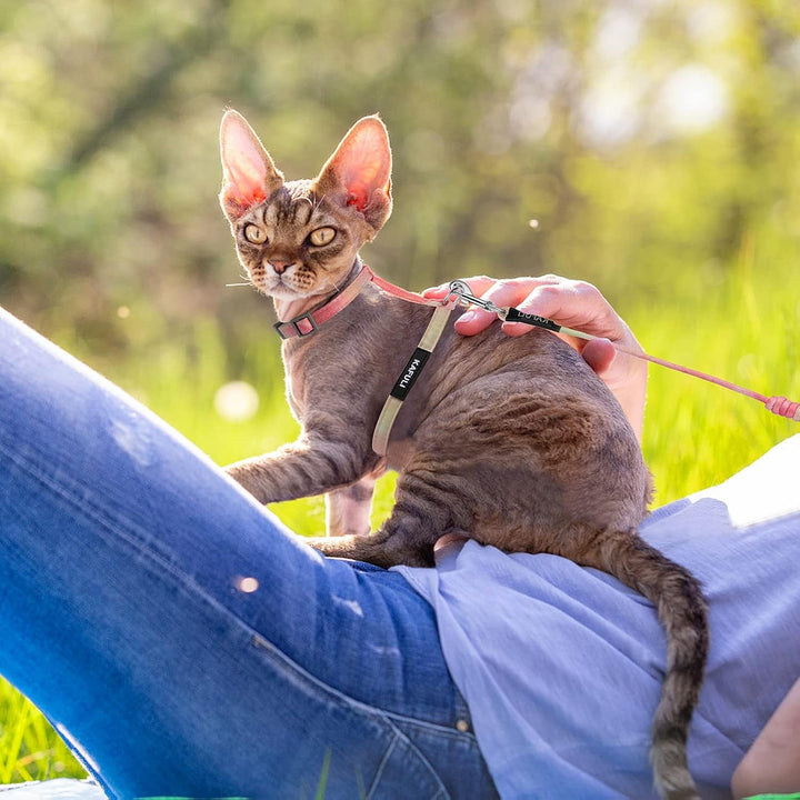 Set de hamuri pentru pisici cu lesă și zgardă, ham reglabil pentru pisoi cu culoare gradientă, ham rezistent la evadare cu lesă pentru pisoi care se plimbă în aer liber (portocaliu și galben)