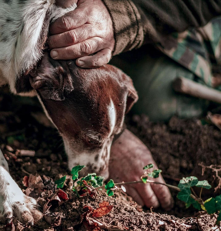 - Concentrat aromă trufe negre 30 ml, uz profesional Arome Naty Shop