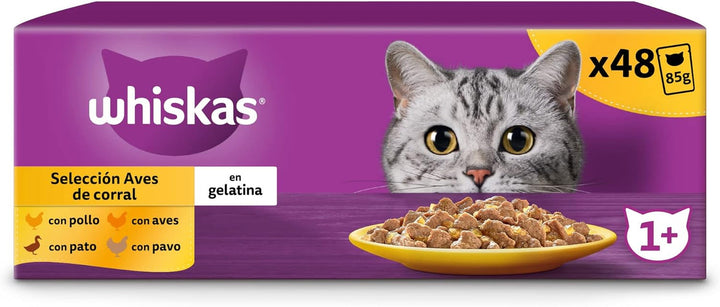 Whiskas Hrană umedă pentru pisici, adulți, Bird's Choice, Jelly, Multipack (4 X 12 pungi X 85 G)