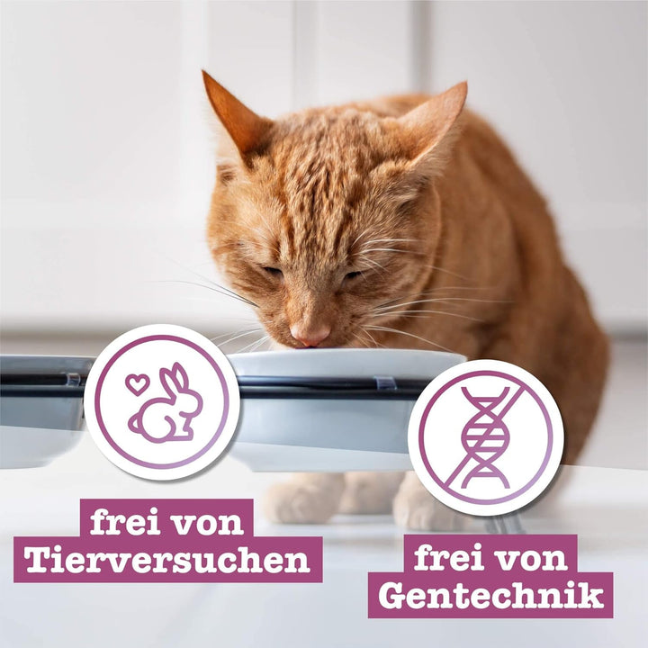 Catz Finefood Classic Collection Mix-Pack Hrană umedă pentru pisici - Delicatessen Hrană umedă pentru pisica dumneavoastră fără cereale și zahăr cu conținut ridicat de carne, 24 X 85G Bag