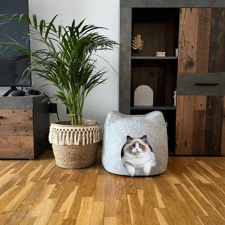 EL ÁTICO PETS Peșteră pentru pisici din fetru. Pat pentru pisici. Pat de odihnă. Pat pentru pisici. Peșteră și pernă pentru pisici incluse. Căsuță pentru pisici. Peșteră de relaxare pentru pisici. Iglu pentru pisici. Căsuță pentru pisici (Gri, Mare)