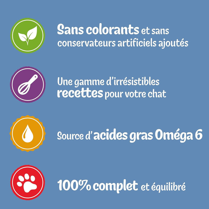 Jelly Chopped | Pisică adultă | Alegerea dintre carne de vită, somon, pui, ton | 12 X 85 G | Pungă proaspătă