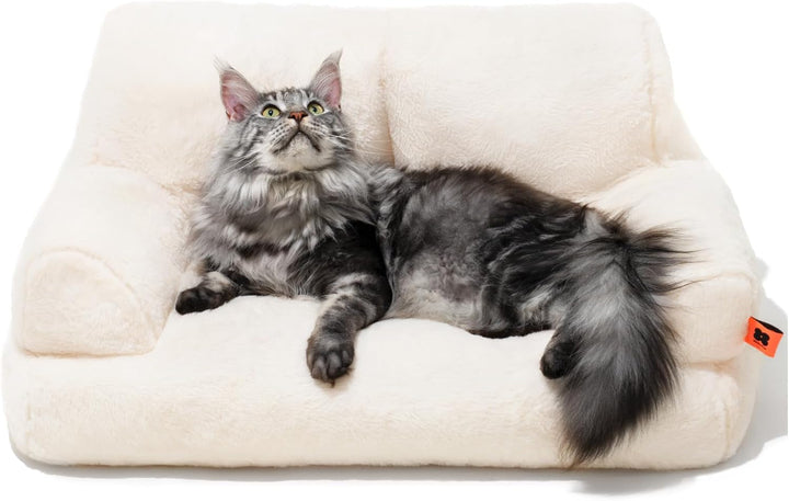 MEWOOFUN Pat pentru pisici, Canapea pufoasă și moale pentru pisici, Canapea extensibilă pentru câini/pisici de talie medie și mică, Pat drăguț pentru pisici cu fund antiderapant (Gri închis, L 66 x l 48 x Î 33 cm)