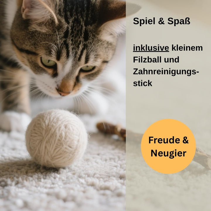 Pat pentru pisici XL, Peșteră pentru pisici – Lână Romney fină – Îmâslită puternic – Robustă la exterior și moale la interior – Lavabilă la mașină (petrol)