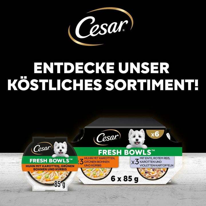 Bol cu rață, morcov, carne de vită, orez și pasăre în sos 2 X 5 X 85 G