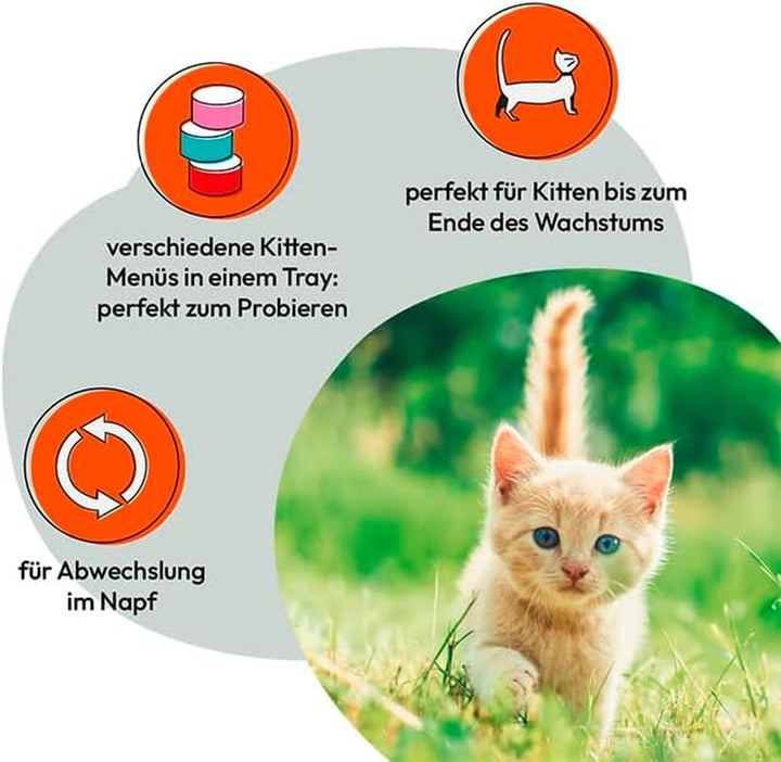 GRAU - The Original - Hrană umedă pentru pisici - Mischtray Kitten Generation Pet, 6 pachete (6 X 200 G), mix din meniuri diferite, pentru pisoi