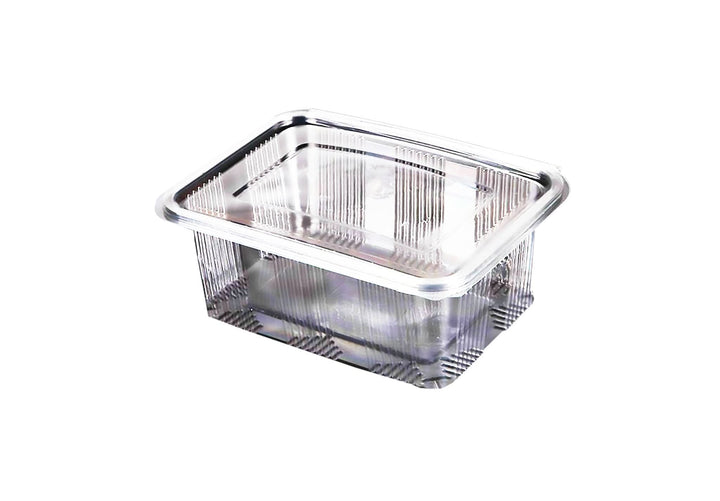 Caserole plastic 2000 ml, set 10 buc Catering Nati Shop