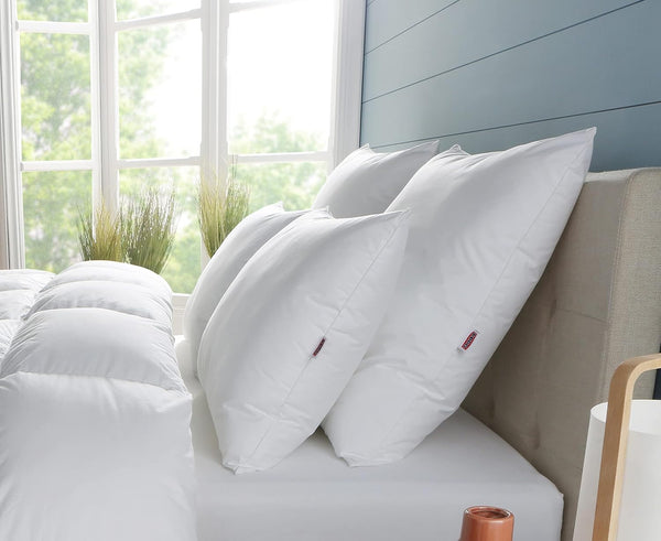 DODO Premium Pillow, 60 X 60 Cm, Medium Comfort, Perna Cloud De Douceur | Miteproof And Fluffy | Percale Cotton + Piping Lavabilă la mașină la 40 °C Perne standard Naty Shop Alb 60/60