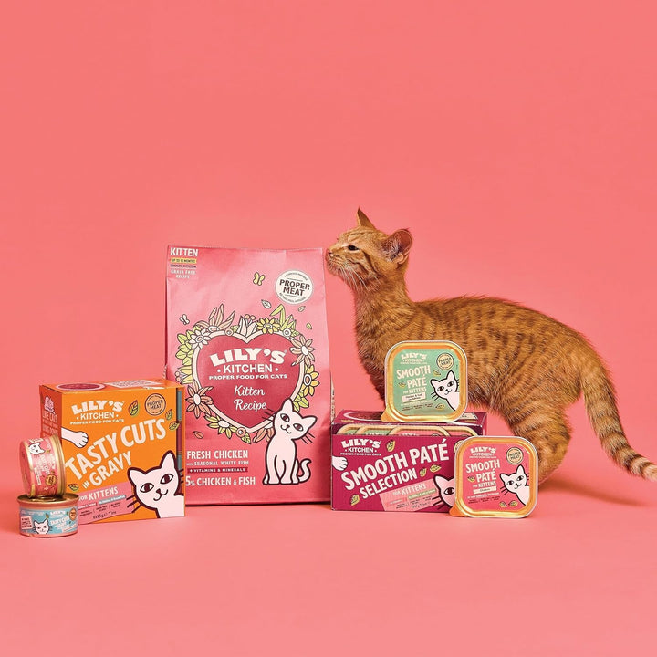 Lily'S Kitchen Whole Food Hrană umedă pentru pisici tinere 19 boluri (19 X 85G) Păsări