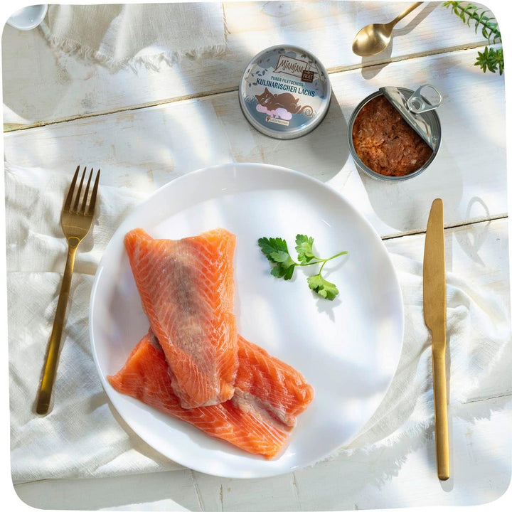 Mjamjam - Hrană umedă premium pentru pisici - Tender Fillet Of Salmon 80G, 16 pachete (16 X 80 G), naturală cu multă carne