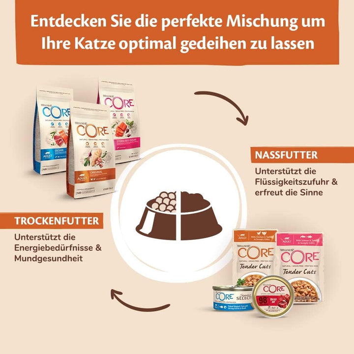 Wellness CORE 98% pui și somon, 12 X 85 G, hrană umedă premium pentru pisici adulte, pateu de hrană pentru pisici, fără zahăr adăugat, fără cereale, cu conținut ridicat de carne