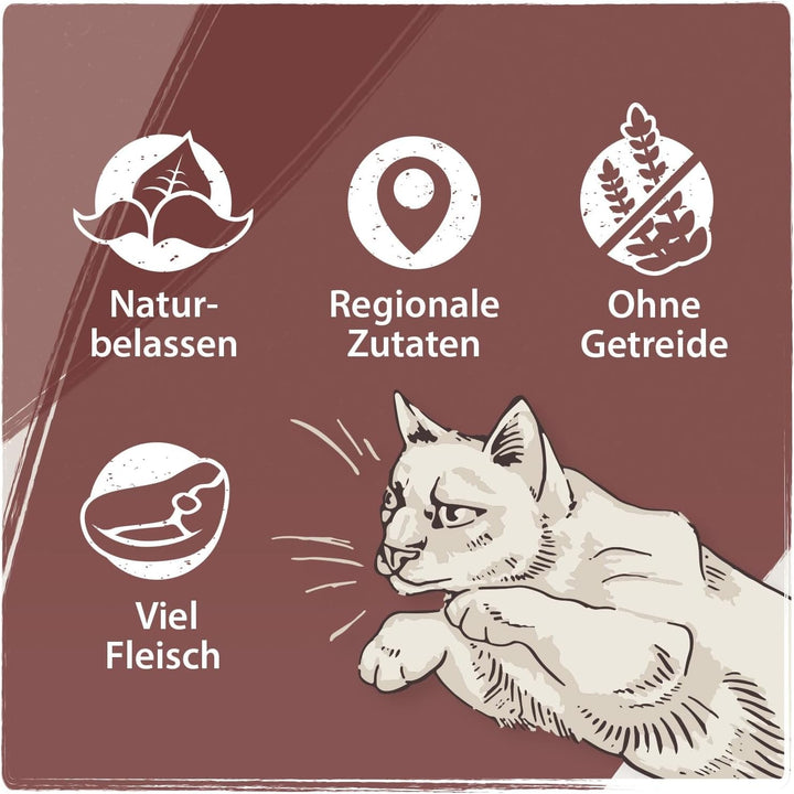 Venandi Animal - Hrană umedă premium pentru pisici - Beef as monoprotein 12-pack (12 X 125 G), fără cereale, monoproteină