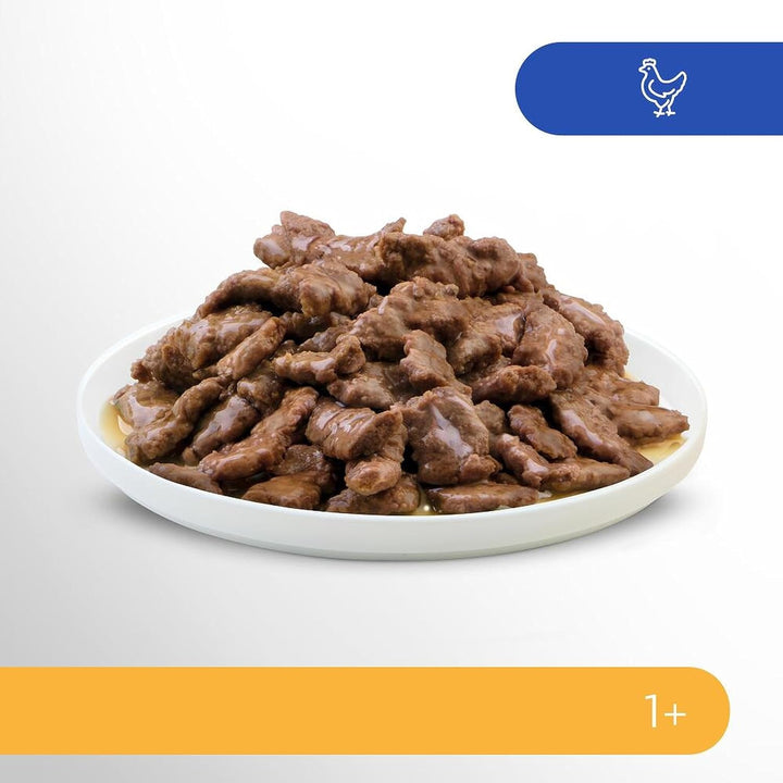 Perfect Fit Sensitive 1+ hrană umedă pentru pisici cu pui în sos, 12 pungi porție, 12X85G - Hrană umedă premium pentru pisici, Pentru pisici sensibile de la 1 an, Fără grâu și soia, Pentru susținerea digestiei