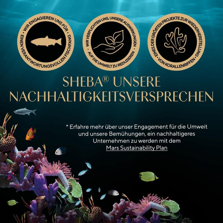 Sheba Fresh & Fine Multipack pungă porție 3 varietăți cod, somon, ton în sos MSC 5X15X50G