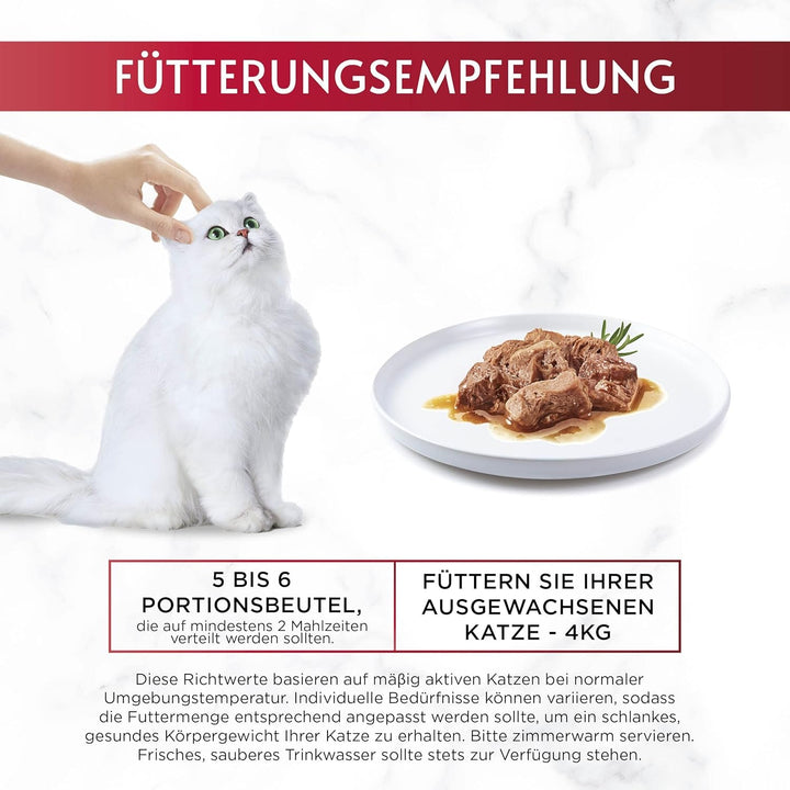 Gourmet Mon Petit Intense hrană umedă pentru pisici, variații de pește, 8-pachet (8 X 6 pungi a câte 50g)