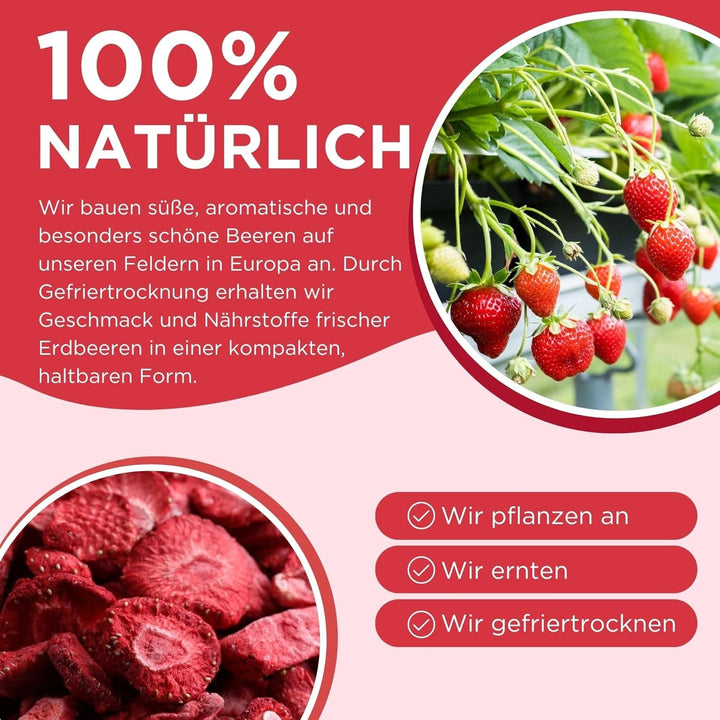 Summmer căpșuni liofilizate - pachet de 5 - fără zahăr, 100% naturale, delicioase gustări crocante pentru copii și adulți, ideale pentru cereale și cutii de prânz (55g) Produse deshidratate Naty Shop